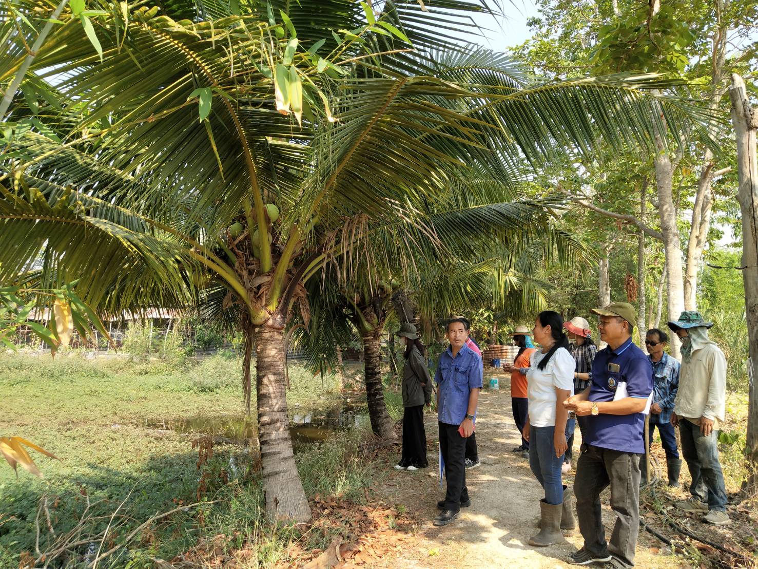 โครงการส่งน้ำฯห้วยหลวง ออกตรวจเยี่ยมเกษตรกรในพื้นที่ส่งน้ำคลอง 3 L-R  