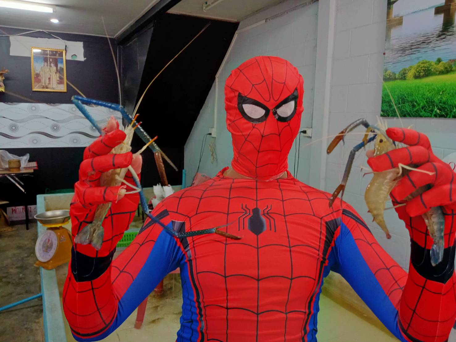 หนุ่มเจ้าของร้านแปลงร่างเป็นสไปเดอร์แมน ขายกุ้ง-ปลานิล กระตุ้นยอดขายสู้โควิด
