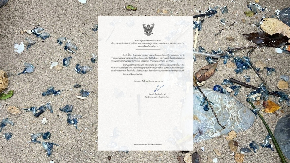 อุทยานแห่งชาติหมู่เกาะลันตา สั่งปิด เกาะไหง–เกาะห้า–แหลมโตนด เหตุพบ "แมงกะพรุนไฟหมวกโปรตุเกส"