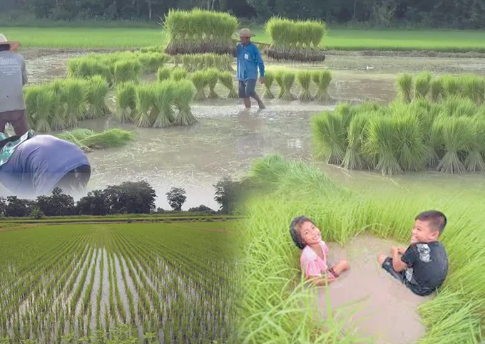 ย่าจันทร์ (9)