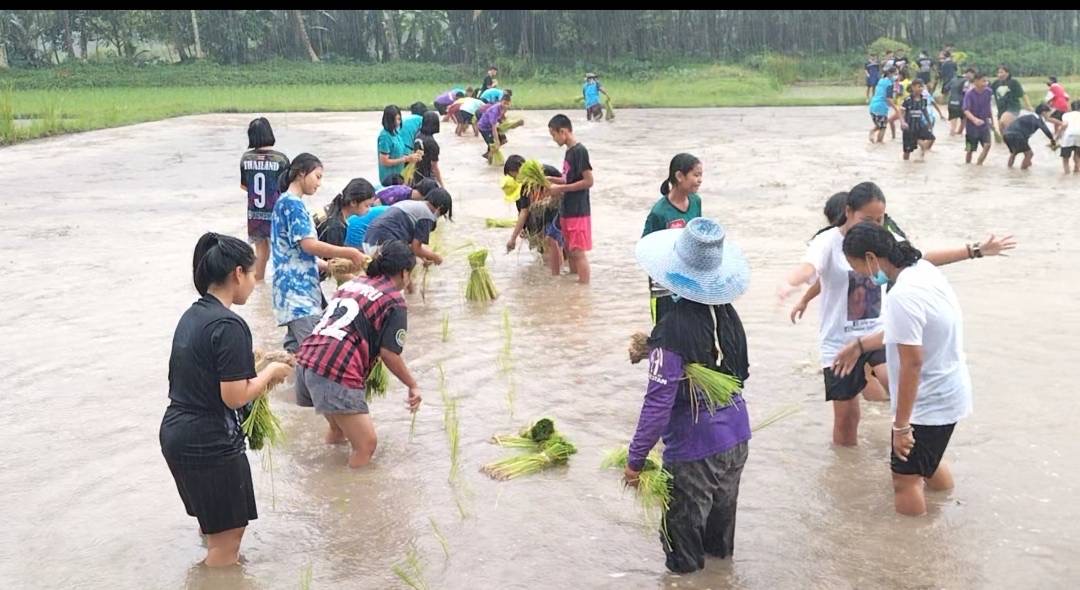นักเรียนยุวเกษตรกร 3 โรงเรียน กว่า 150 คน จับมือฟื้นประเพณีลงแขกปลูกข้าว เรียนรู้วิถีชาวนา