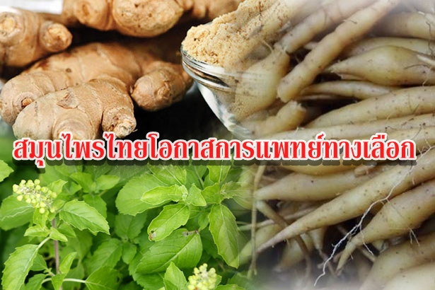 สมุนไพรไทยโอกาสการแพทย์ทางเลือก