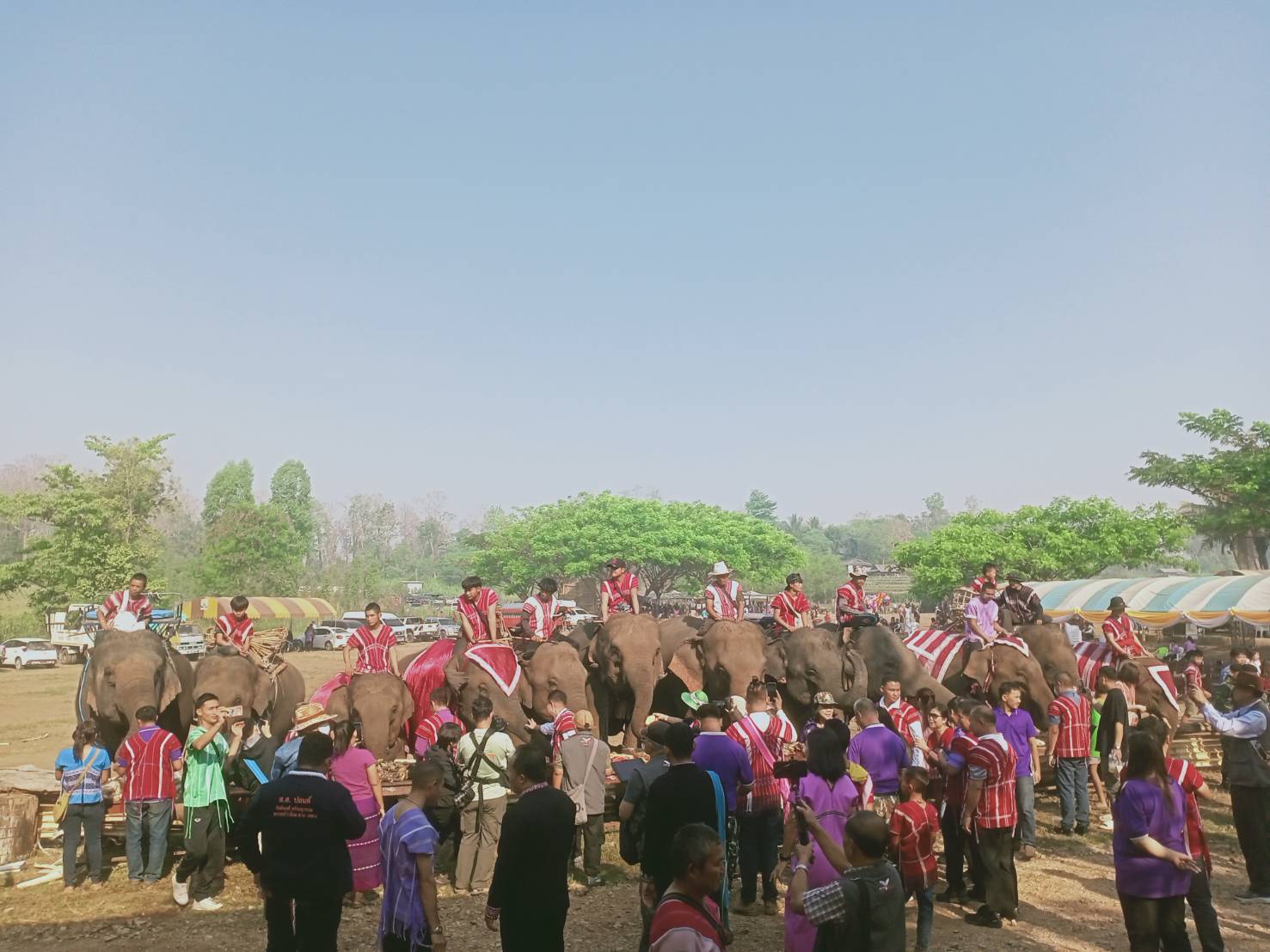ตาก ชาวกะเหรี่ยง-นักท่องเที่ยว ร่วมงานวันช้างไทยที่บ้านเพาะช้างงาน