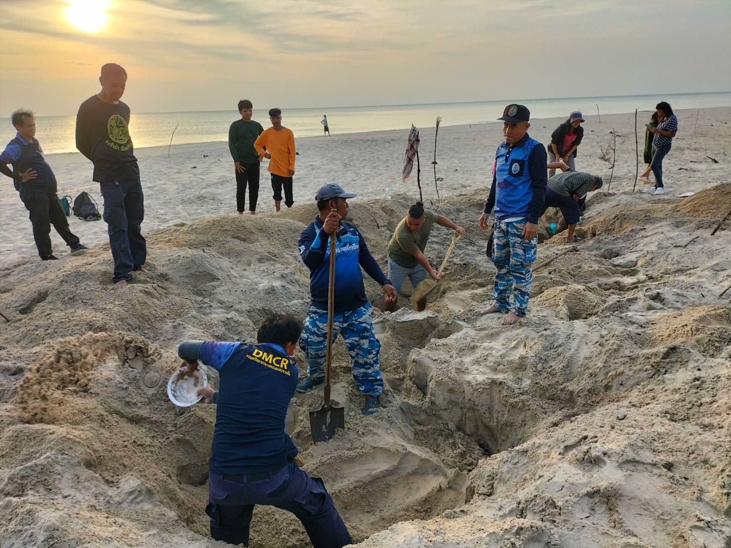 เฮลั่น!!ชาวเกาะคอเขา พังงาพบเต่ามะเฟืองขึ้นวางไข่ที่หาดซันเซ็ตรังแรกในรอบ2ปี