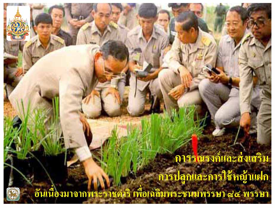  ซินโครตรอนร่วมจุฬา-ปตท. วิจัยหญ้าแฝกสานต่อที่พ่อทำ