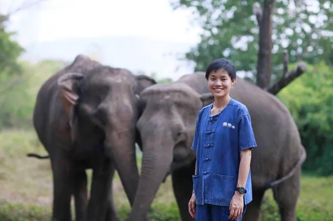 สัมผัสวิถีช้างที่ Elephant Forest พิษณุโลก กับหญิงแกร่งผู้พลิกชีวิตปางช้าง "ศิรอาภา"