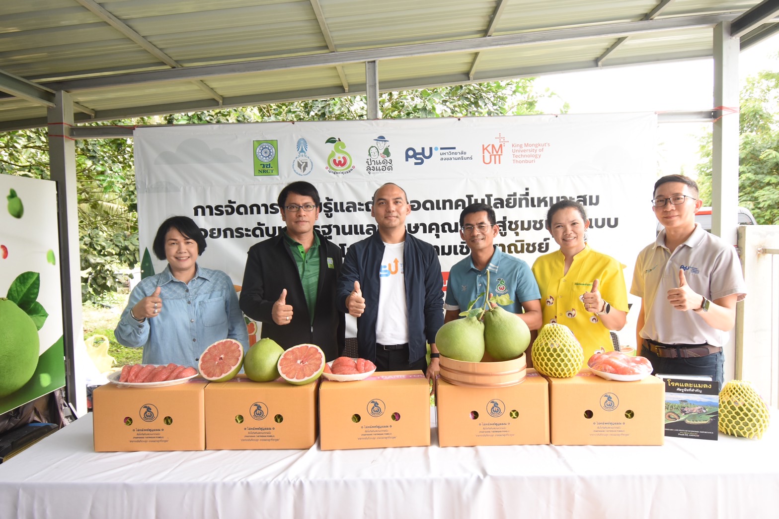 วช.หนุนถ่ายทอดเทคโนฯการผลิต “ส้มโอทับทิมสยาม” ผลไม้ GI ซูปเปอร์ Lycopene ของดีปากพนัง