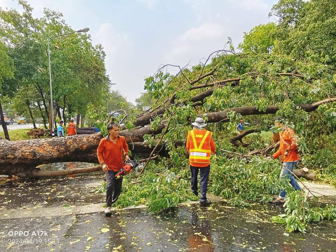 โคราชอ่วม พายุฤดูร้อนถล่ม 3 อำเภอ เสียหายกว่า 60 หลัง ทต.ปรุใหญ่ ต้นไม้ล้มทับรถยนต์พัง 10 คัน