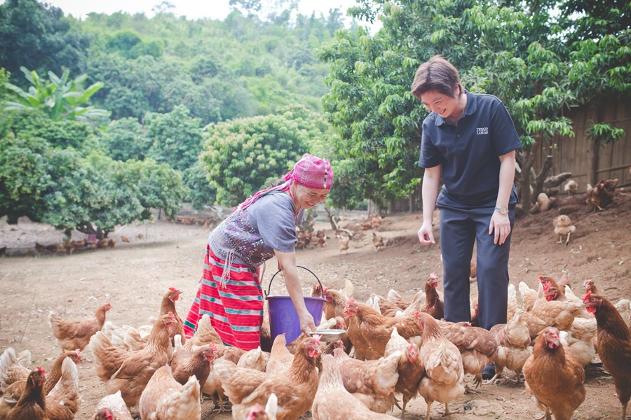 เทสโก้ โลตัส ส่งเสริมชาวเขาผลิตไข่ไก่ออร์แกนิก ยกระดับคุณภาพชีวิตที่ดีขึ้น