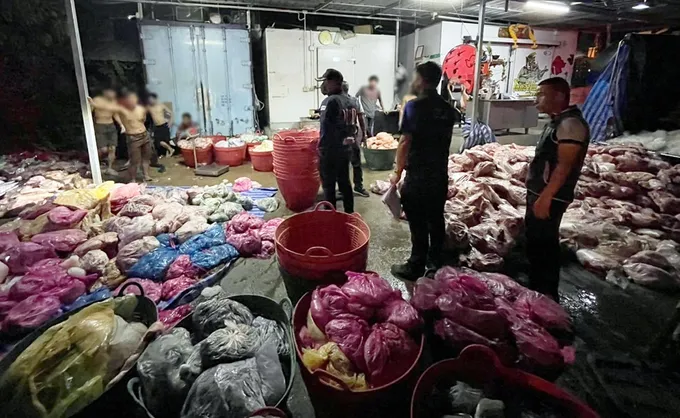 บุกจับ “ช็อปหมู ชลบุรี” กวาดล้าง “หมูเถื่อน” รวม 10,307.4  กก.