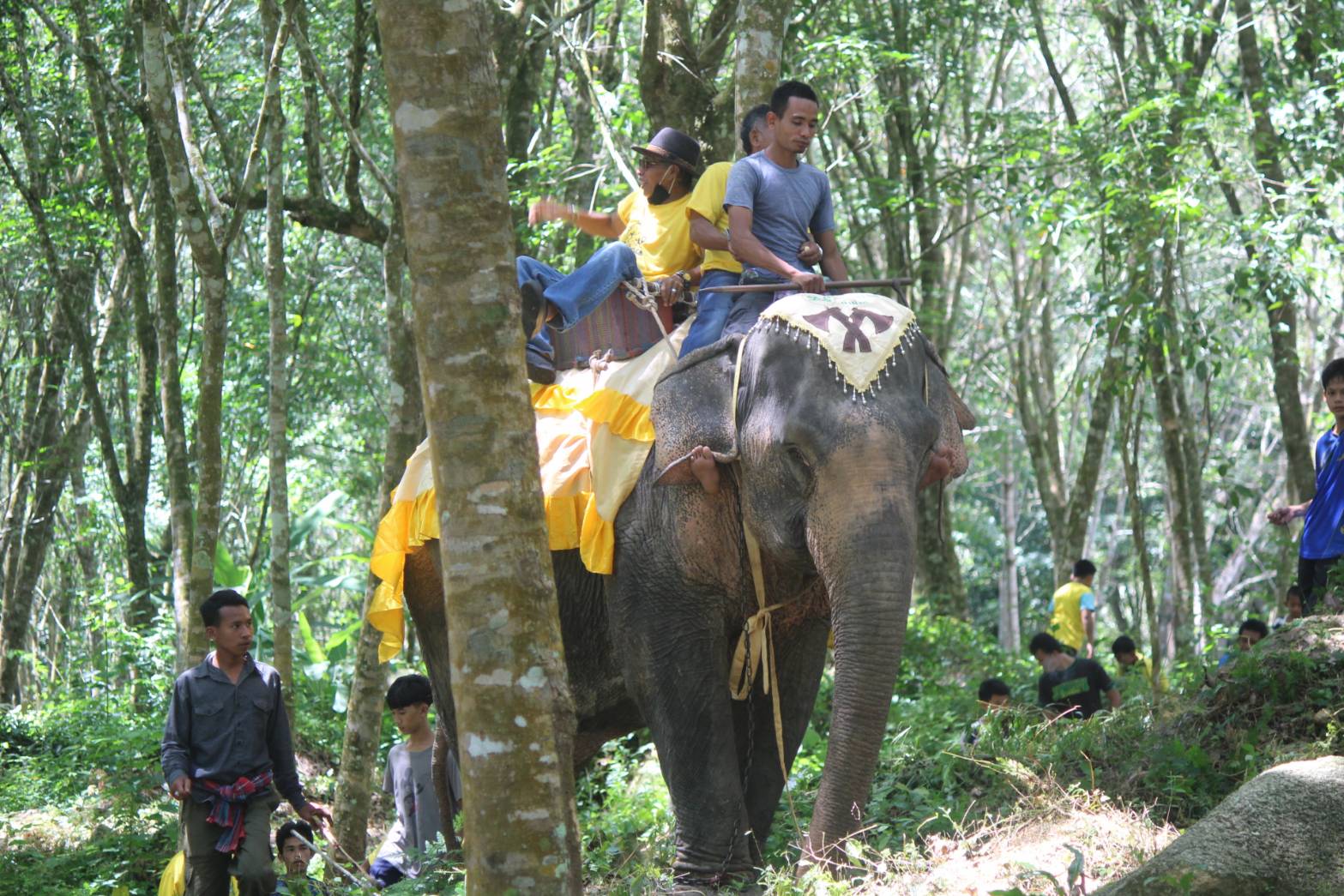ชาวตำบลกาลอ จ.ยะลา จัดกิจกรรมบุฟเฟ่ต์ทุเรียน“ขี่ช้าง กินทุเรียน แช่น้ำตก”