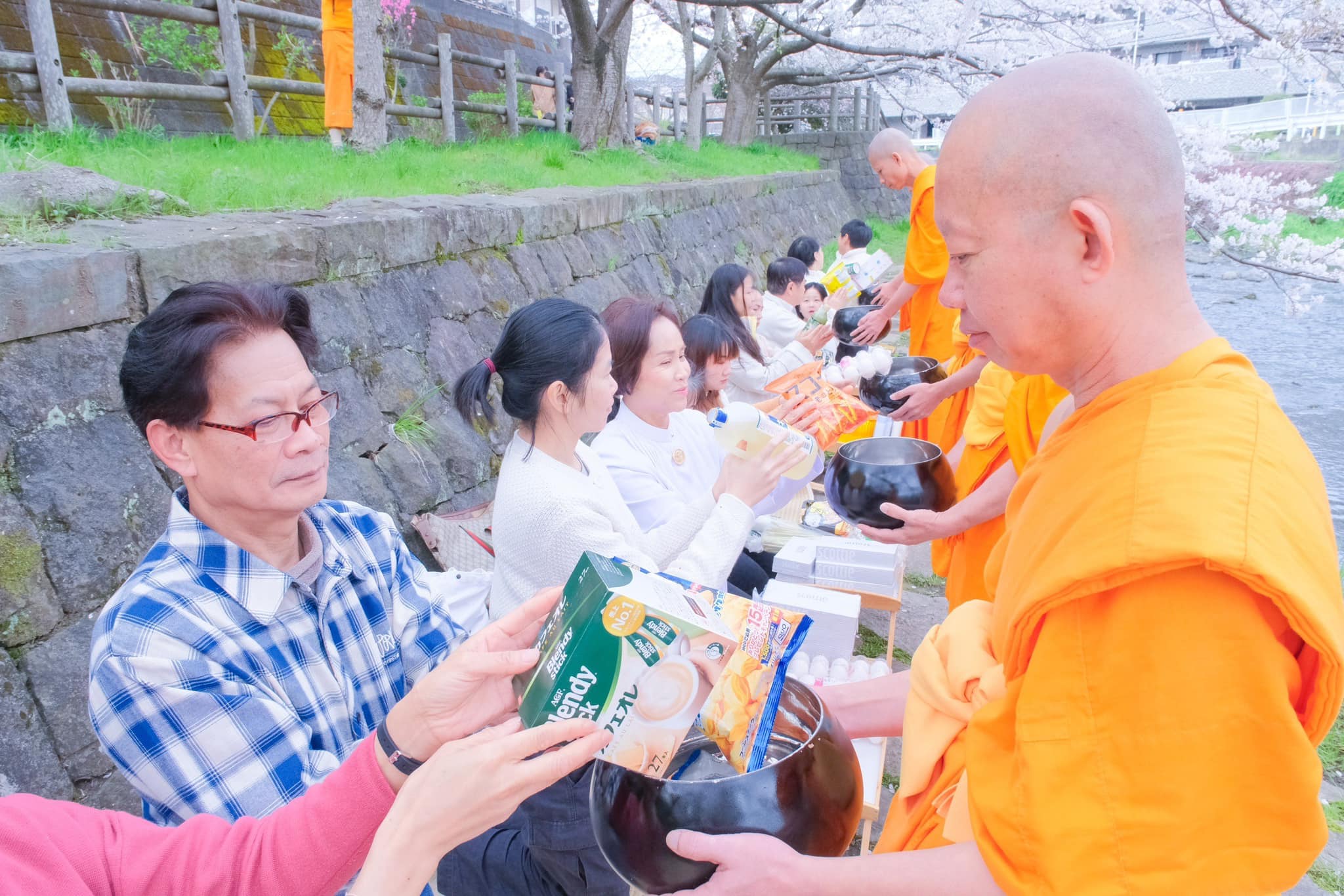 วัดพระธรรมกายคานากาว่า จัดตักบาตรต้อนรับฤดูซากุระบาน และเทศกาลสงกรานต์ไทย