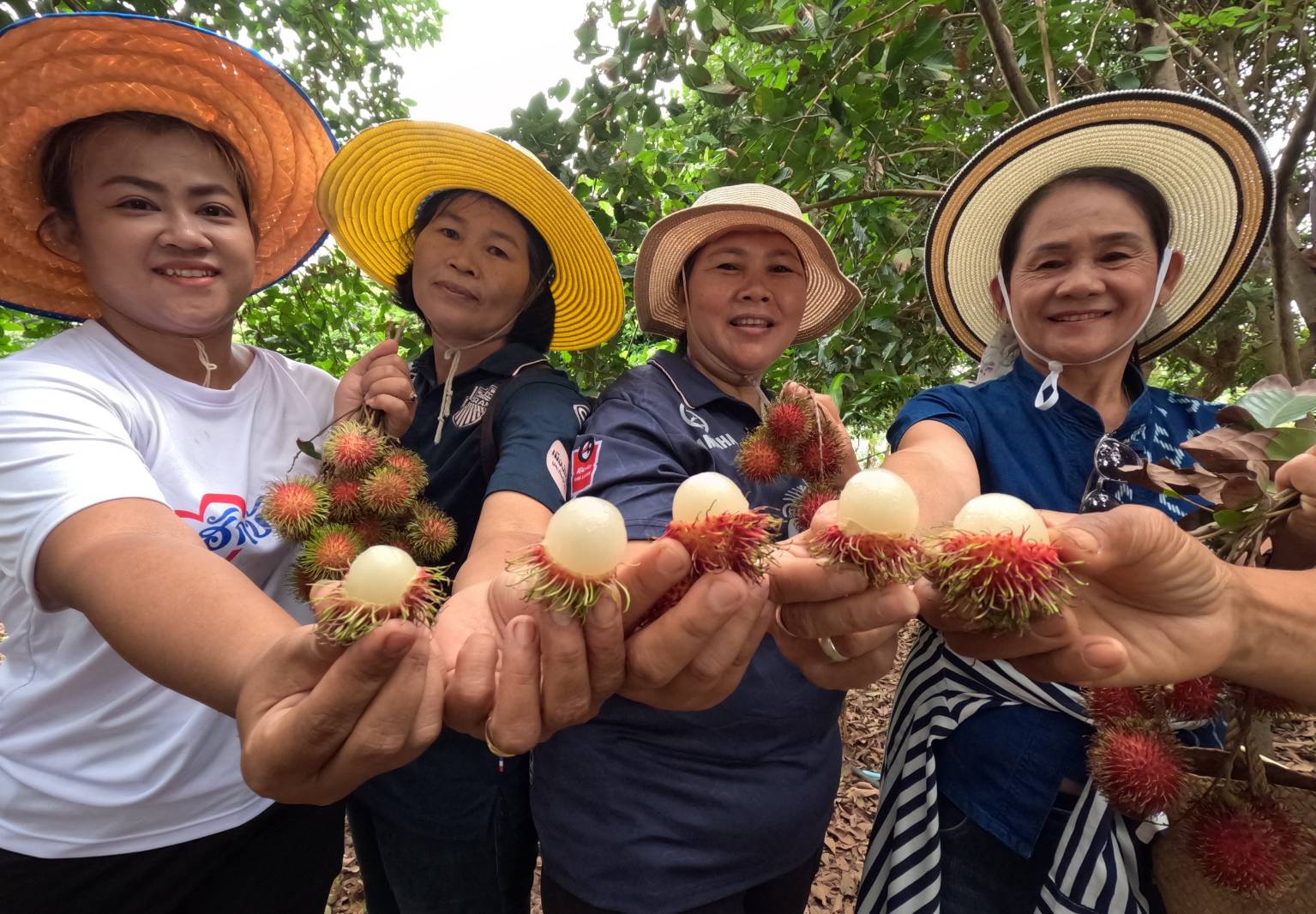 บุรีรัมย์ เปลี่ยนป่าช้าเป็นสวนเงาะ-ทุเรียน เปิดเที่ยว ขายสร้างรายได้ให้ชุมชน