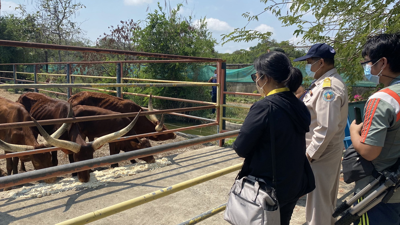 เจ้าของฟาร์มจระเข้ พา จนท.กรมอุทยานพิสูจน์ว่าสัตว์ไม่ได้ผอมตามที่โพสต์