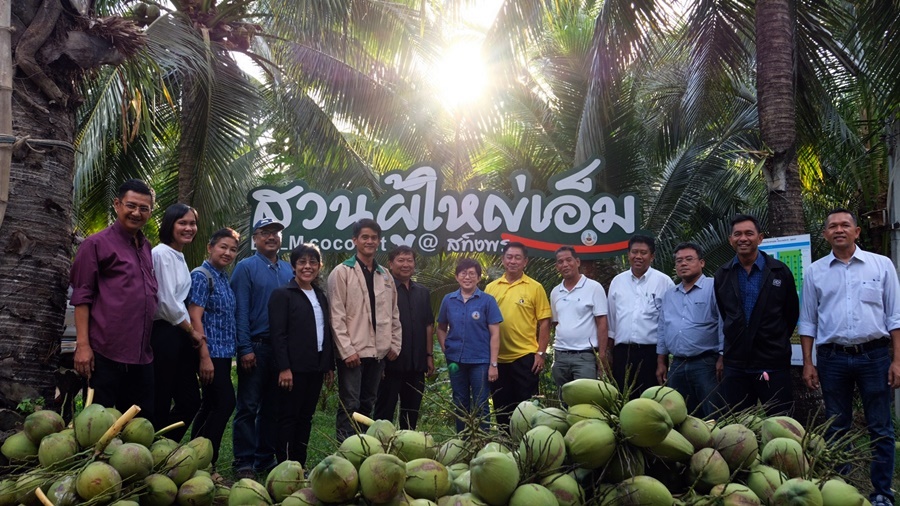 อธิบดี พด. เยี่ยมหมอดินสทิงพระ ปรับปรุงดินทำสวนมะพร้าว Big M 
