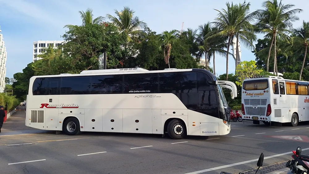 S 26566669