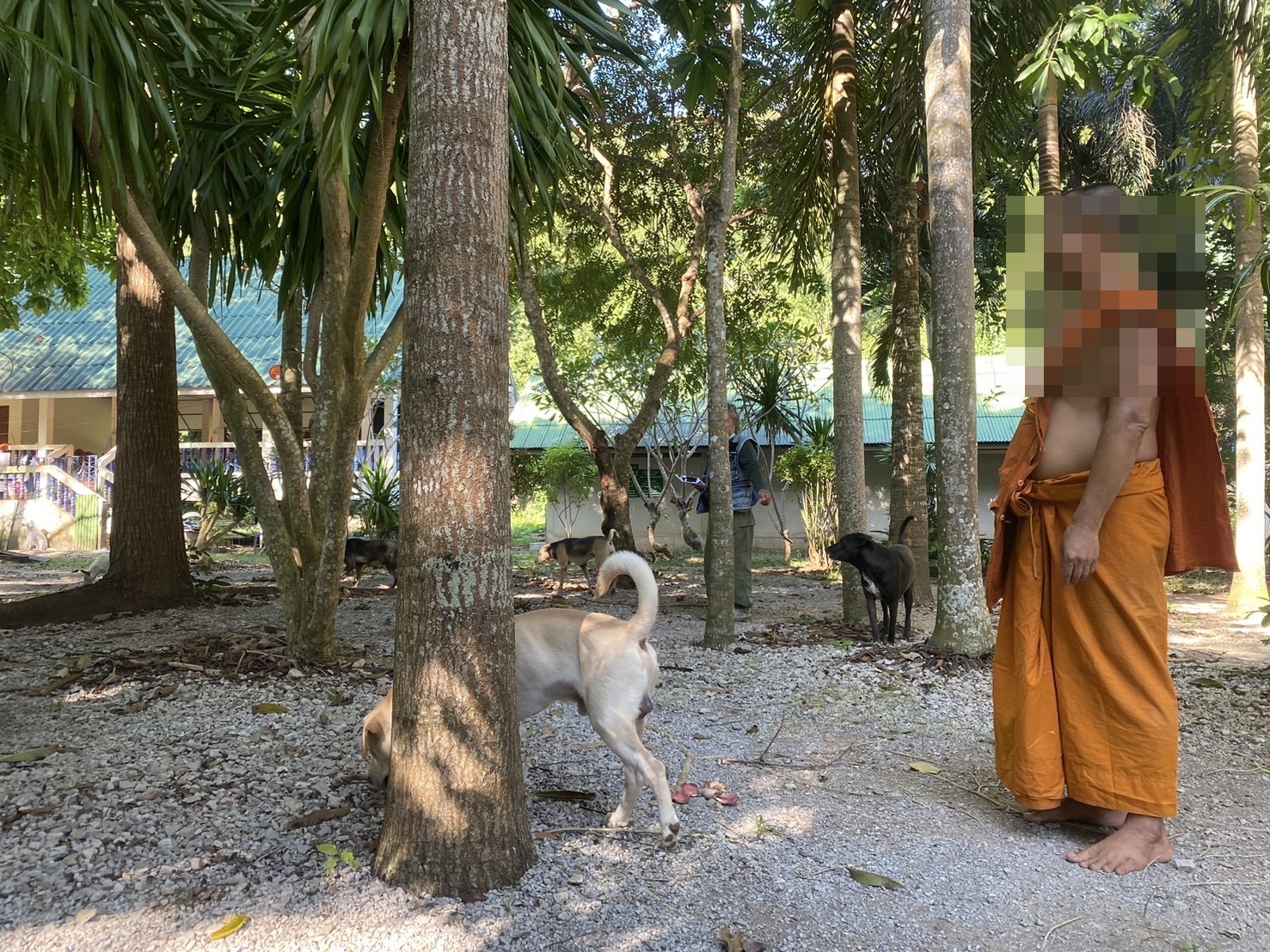 อดีตเจ้าอาวาสวัดเขาถ้ำม้าร้องร้องขอความเป็นธรรมหลังถูกปลดจากตำแหน่งชี้เป็นแผนขัดขวางผลประโยชน์