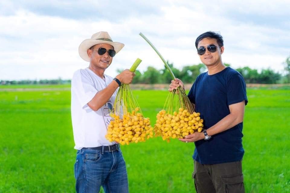 อบจ.เพชรบูรณ์ เตรียมเปิดฤดูกาลท่องเที่ยวฤดูฝน...ชมชิมอินทผลัม “Intapalum Festival 2020”