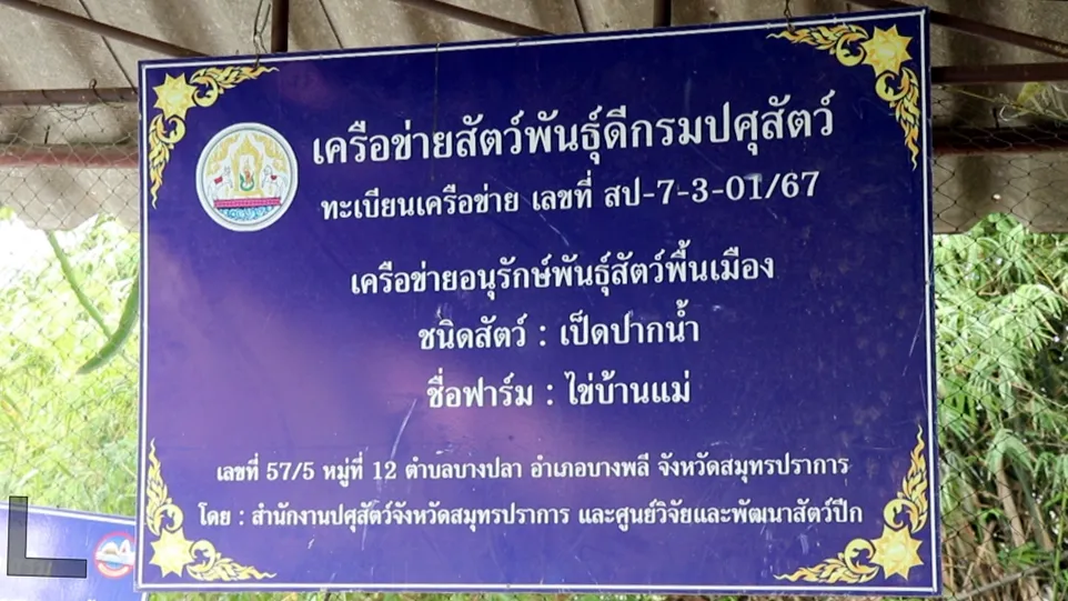 2569 09 05