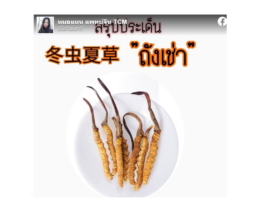 แพทย์แผนจีนสรุปประเด็น “ถั่งเช่า” เข้าใจง่ายปรับใช้อย่างปลอดภัย
