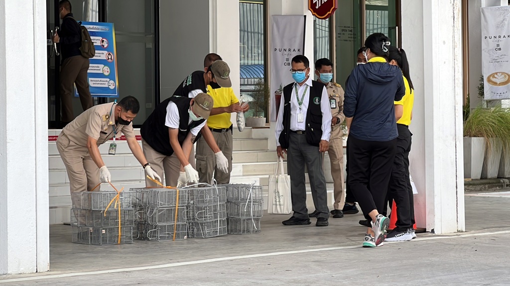 บช.ก.ร้องขอสำนักอนามัย กทม.ส่งทีมมาปฏิบัติการกวาดล้างหนู
