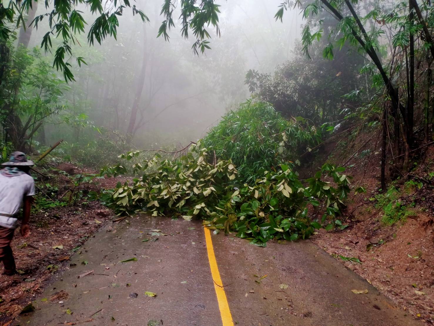 ฝนตกหนัก!ดินสไลด์ปิดเส้นทางการค้าชายแดนห้วยผึ้ง