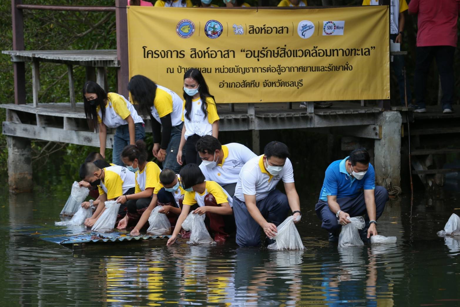 สิงห์อาสา ร่วมกับ สถาบันวิทยาศาสตร์ทางทะเล ม.บูรพา และกองทัพเรือ ร่วมฟื้นป่าชายเลนในชลบุรี