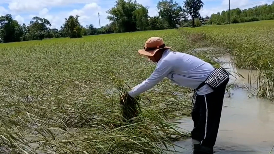 น้ำท่วม-ถนนขาด! ชาวบ้านชายแดนสุรินทร์วอนรัฐช่วย ซ้ำต้องผวาสงครามกลัวหนีไม่ทัน