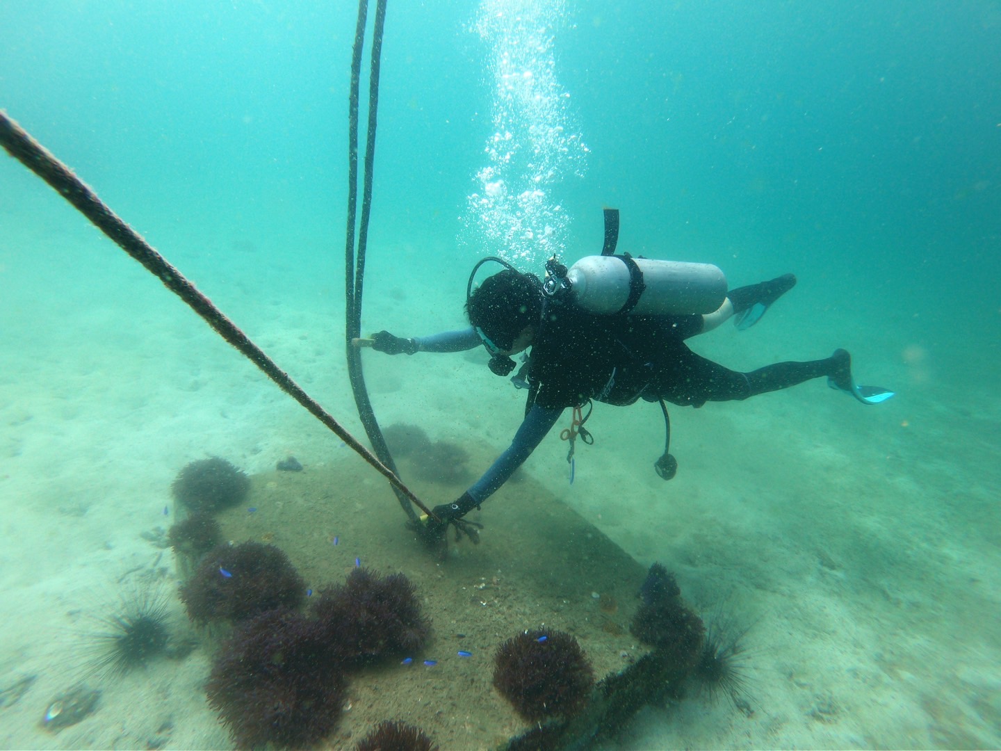 "อช.หาดวนกร"ติดตั้งทุ่นจอดเรือบริเวณเกาะจาน-เกาะท้ายทรีย์ลดปัญหาการทิ้งสมอเรือที่อาจทำลายแนวประการังน้ำ
