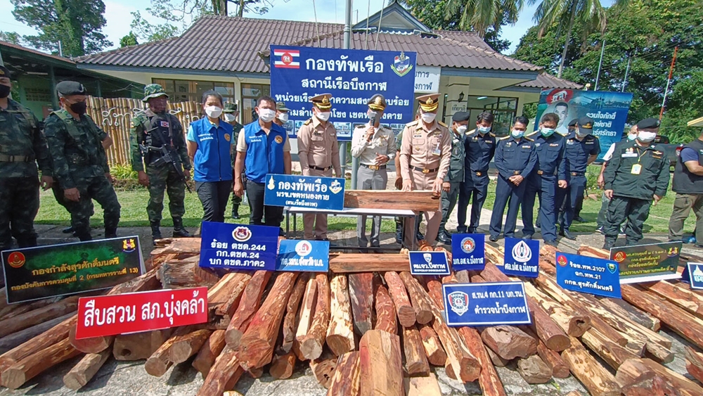 นรข.ยึดไม้พะยูง 116 ท่อน ขณะขนลงเรือริมโขงส่งขายประเทศเพื่อนบ้าน