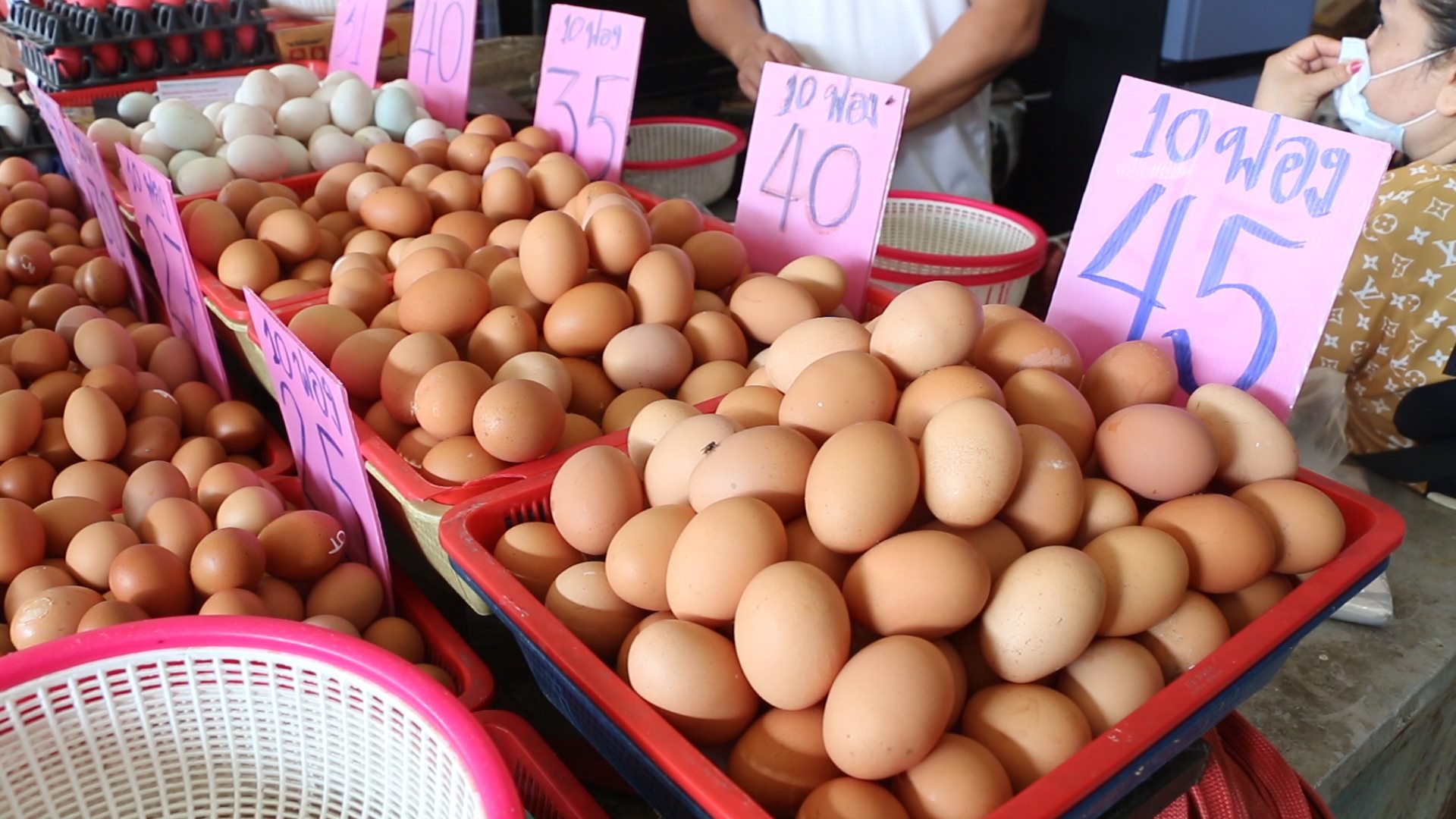 ราคาไข่ไก่ขอนแก่นลดลงต่อเนื่อง  วอนรัฐเร่งกำหนดมาตรการช่วยเหลือ