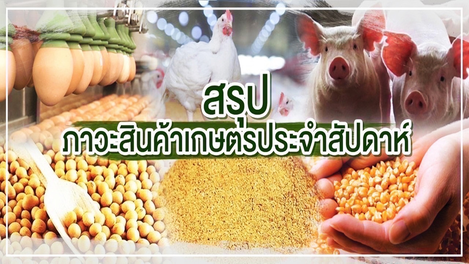 สรุปสินค้าเกษตรสัปดาห์นี้! สุกร-ไก่เนื้อปรับขึ้น ข้าวโพด-ปลาป่นจ่อขยับราคา