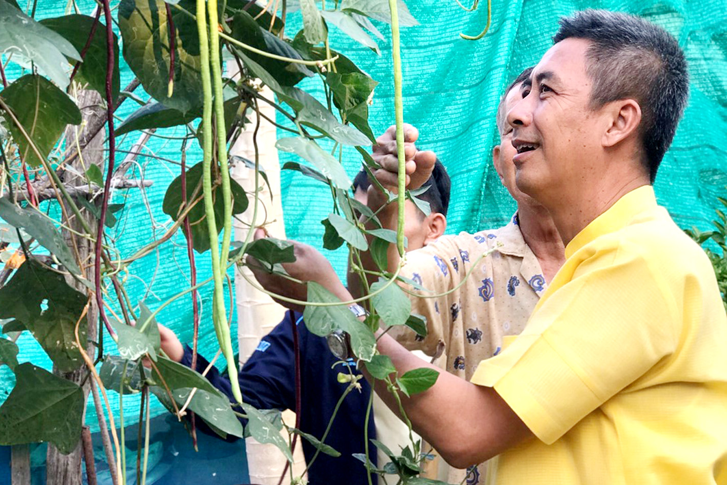 อบต.พุคา  จัดโครงการ"บ้านนี้มีรัก  ปลูกผักกินเอง"