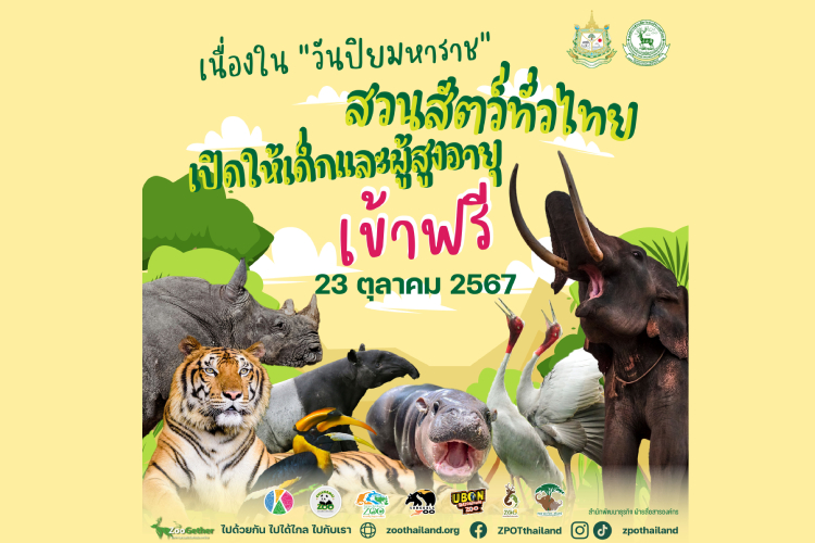 ข่าวดี! ชวนเที่ยวสวนสัตว์ทั่วประเทศช่วงวันหยุด 23 ต.ค. นี้  'เด็ก-ผู้สูงอายุ' เข้าชมสวนสัตว์ฟรีทั่วไทย 