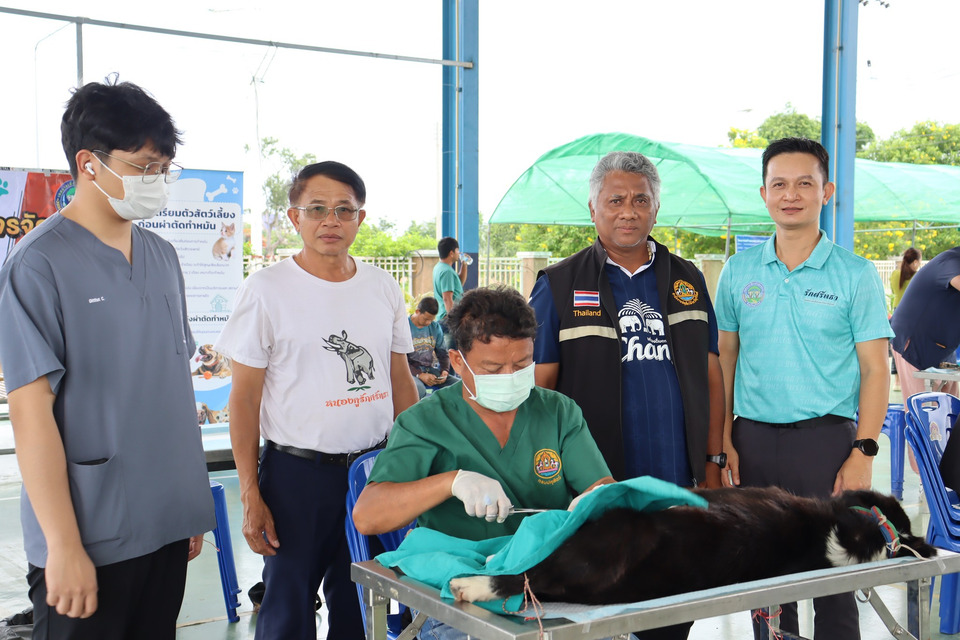 ทม.ลำปลายมาศ–ปศุสัตว์บุรีรัมย์ บริการทำหมันสุนัข-แมวฟรี ลดจรจัด ป้องกันพิษสุนัขบ้า 