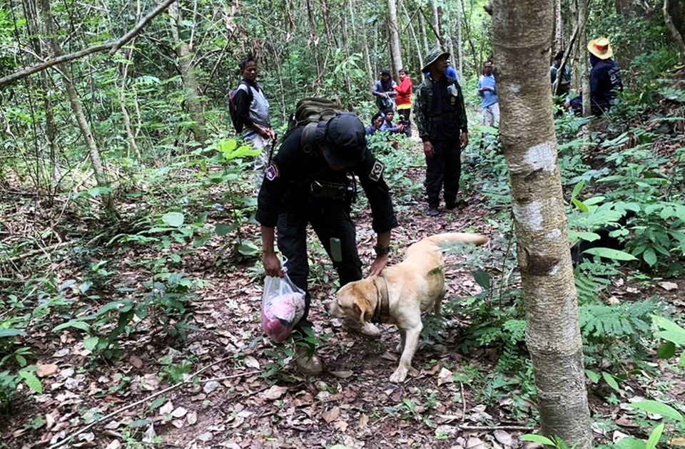 ตชด.22 ส่ง K-9 “รอซเซอร์-อีโก้” ลุยป่าศรีสะเกษ เร่งค้นหาชายวัย 27 หาย 5 วัน