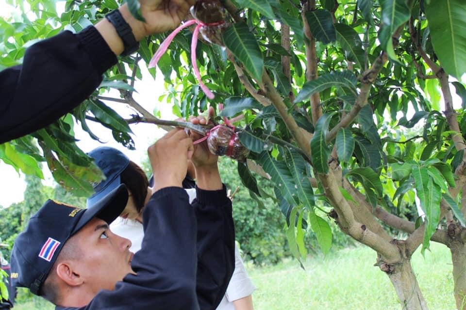 สสก.3 ระยอง ฝึกอาชีพเกษตรทหารก่อนปลดประจำการ สร้างเกษตรกรรุ่นใหม่ รองรับสถานการณ์วิกฤติ