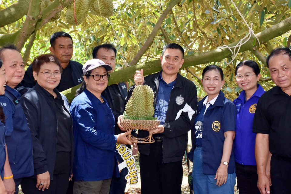บุรีรัมย์ตัดทุเรียนน้ำแร่ลูกแรก เปิดเทศกาลชิม “เนื้อคัสตาร์ด” ดันท่องเที่ยว-สร้างรายได้
