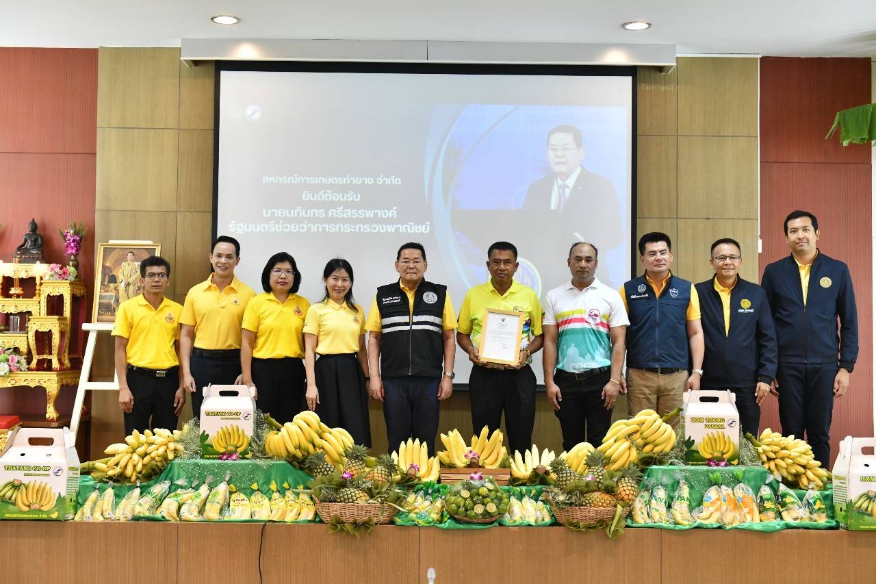 "นภินทร" ประกาศขึ้นทะเบียน GI ตัวล่าสุด "กล้วยหอมทองเพชรบุรี" เตรียมส่งออกญี่ปุ่น คาดสร้างรายได้กว่า 580 ล้านบาท/ปี