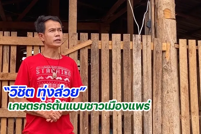 "วิชิต ทุ่งส่วย" เกษตรกรต้นแบบชาวเมืองแพร่