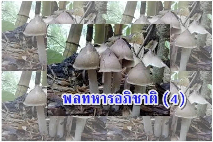 พลทหารอภิชาติ (4)
