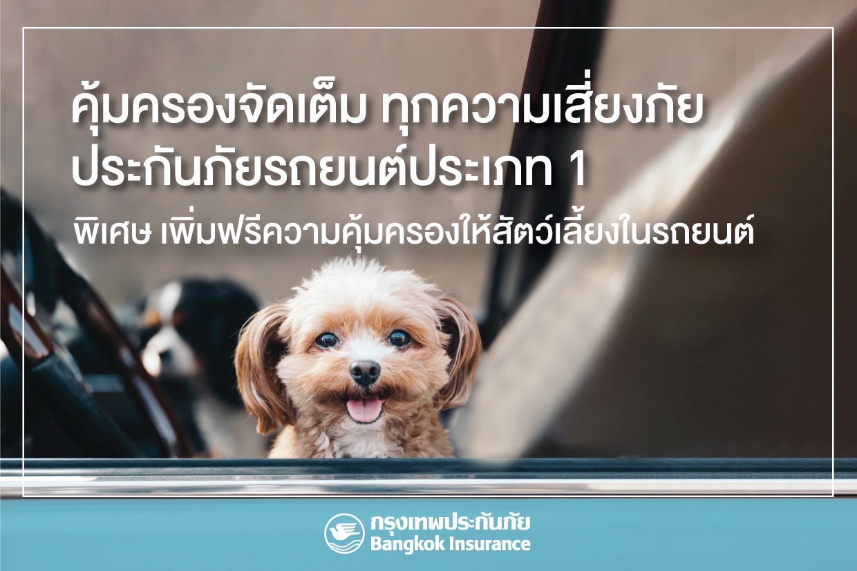 กรุงเทพประกันภัย เข้าใจไลฟ์สไตล์คนยุคใหม่ เพิ่มฟรี “ความคุ้มครองสัตว์เลี้ยง” ให้ลูกค้าประกันภัยรถยนต์ ชั้น 1 
