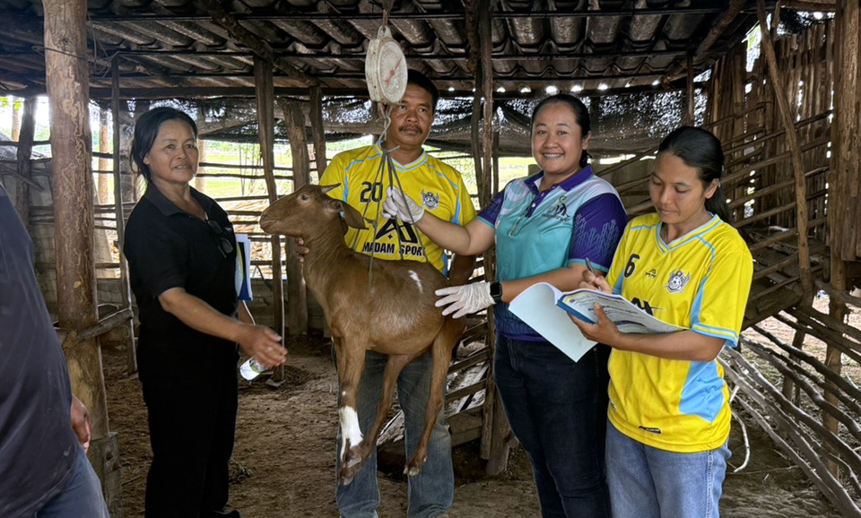 ปศุสัตว์บุรีรัมย์ จับมือ มรภ.สุรินทร์ ดัน “เทคโนโลยีสืบพันธุ์แม่นยำ” ยกระดับรายได้เกษตรกรแพะ-แกะ