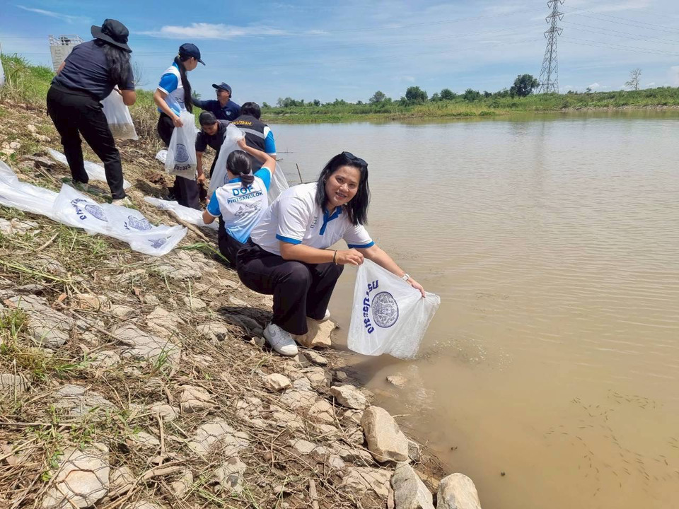 คืนชีพแม่น้ำยม! ชลประทานพิษณุโลกจับมือประมง ปล่อยปลา 3 แสนตัว บูมระบบนิเวศประตูระบายน้ำท่านางงาม