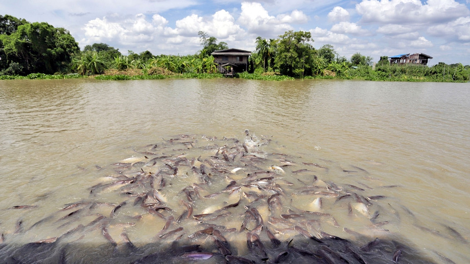 พลิกโฉมคลองเชียงราก! ปทุมธานีรวมพลัง อปท. ฟื้น “คลองสวย น้ำไหลดี”