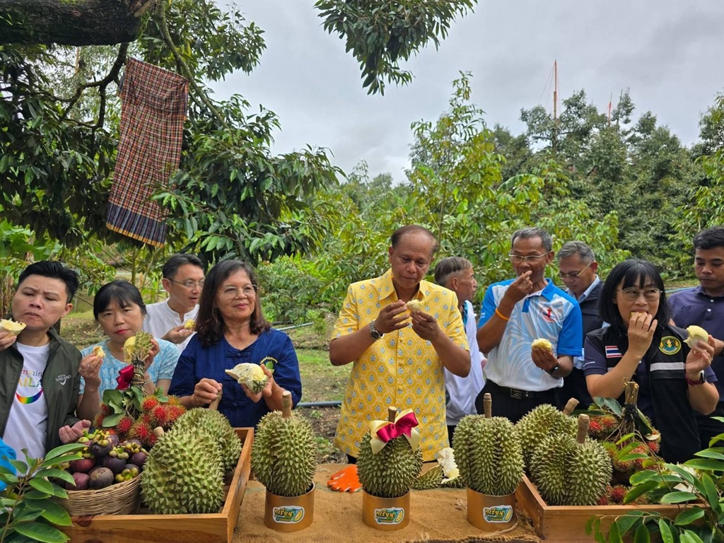 ผู้ว่าฯ ประจวบคีรีขันธ์ ตัดทุเรียน เปิดฤดูกาลทุเรียนตะนาวศรีคีรีขันธ์ @คลองลอย