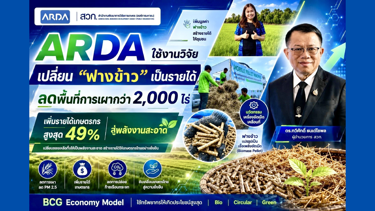 ARDA ใช้งานวิจัยเปลี่ยน “ฟางข้าว” เป็นรายได้ ลดพื้นที่การเผากว่า 2,000 ไร่ เพิ่มรายได้เกษตรกรสูงสุด 49%