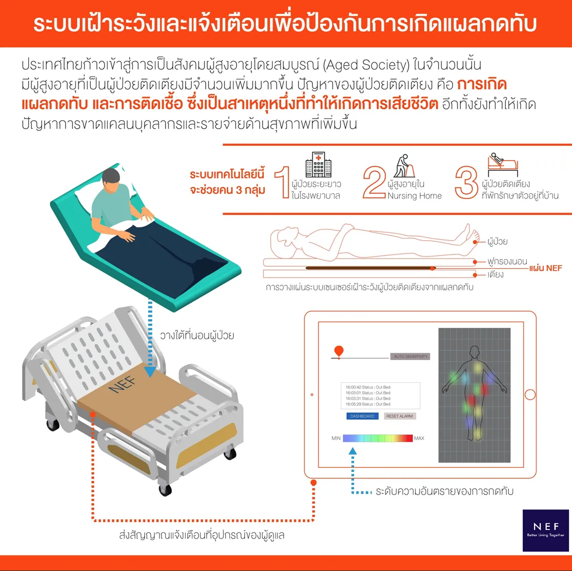 ผลงานทีม NEF
