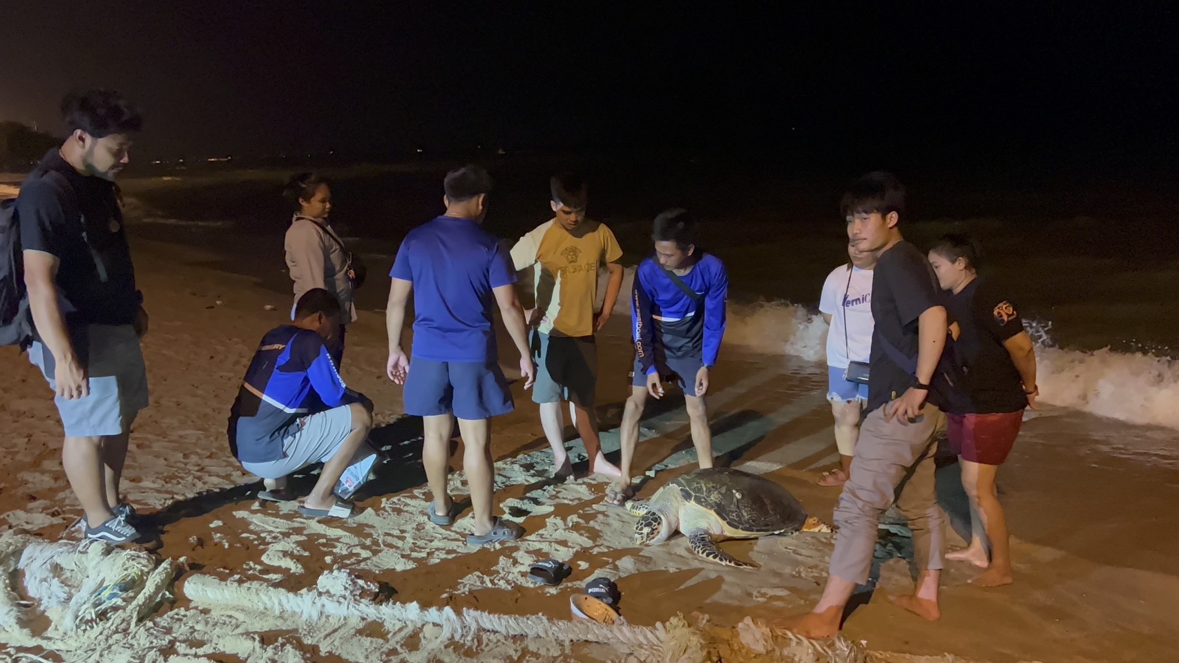 เศร้าใจ!!นทท.พบซากเต่าทะเลอายุกว่า 50 ปี ลอยเกยหาดพัทยา