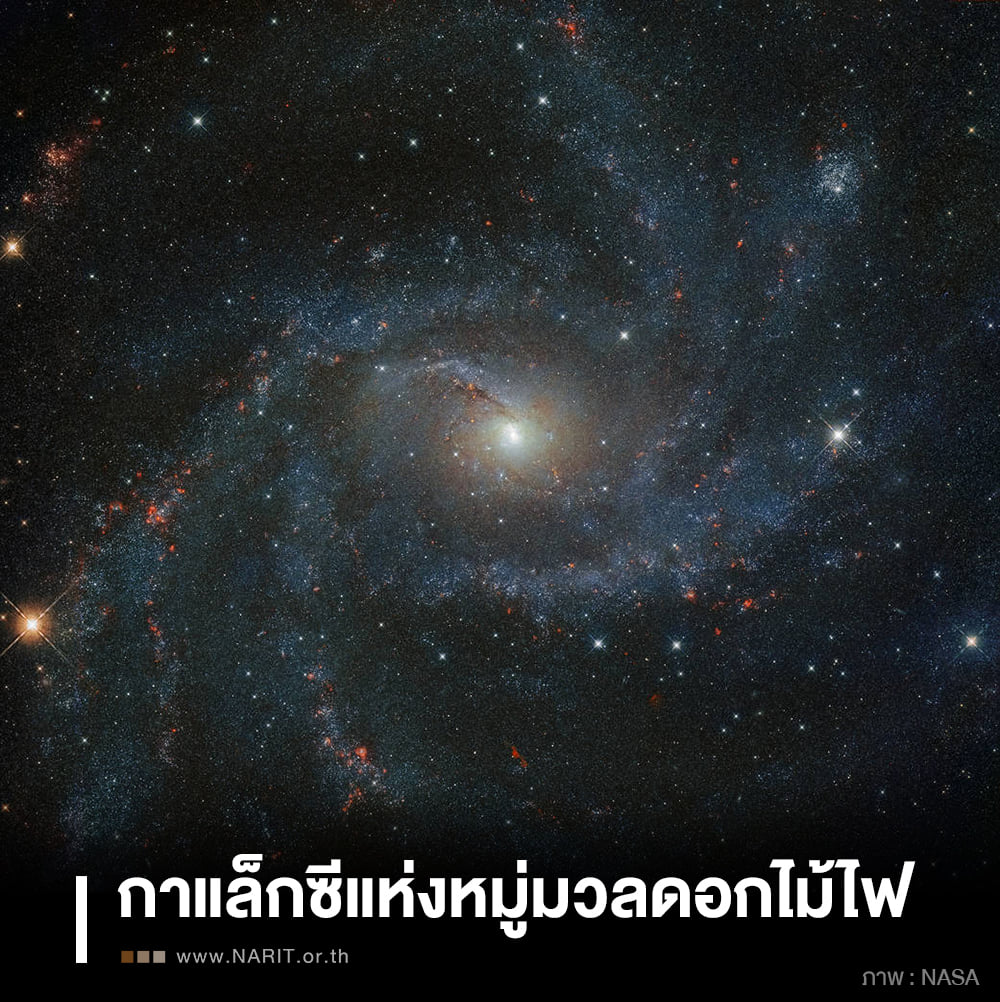 จักรวาลช่างงดงาม!    NGC 6946   กาแล็กซีแห่งหมู่มวลดอกไม้ไฟ